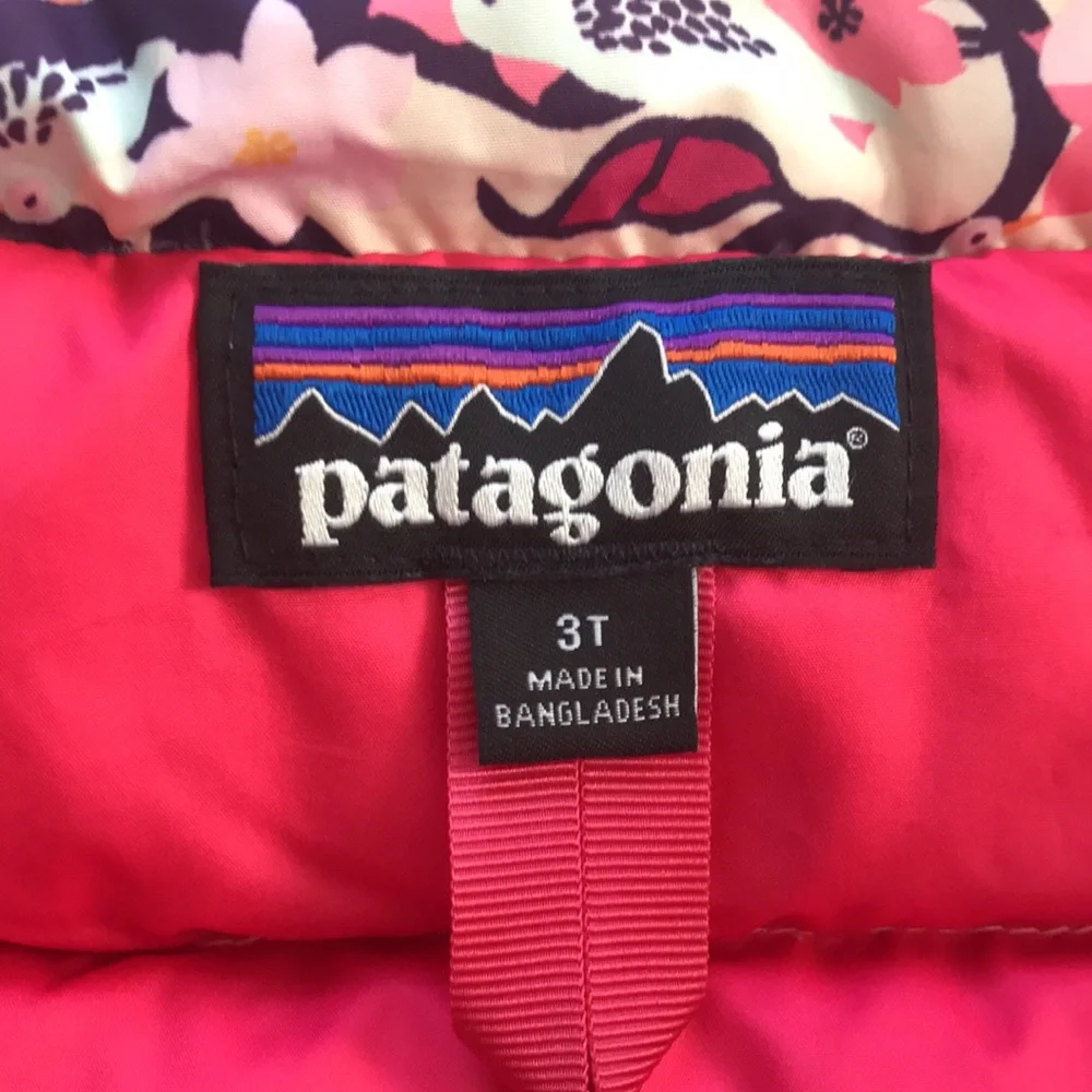 Patagonia Puffer Jacket (size 3T)